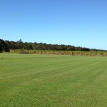 Coastal Turf Qld Blue Couch Paddock