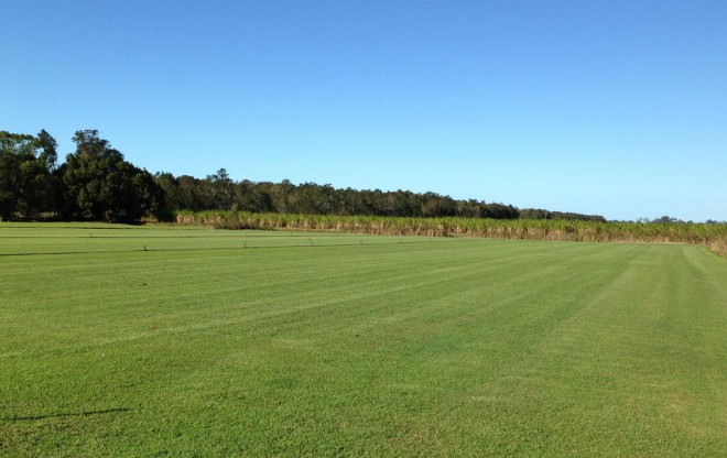 Coastal Turf Qld Blue Couch Paddock