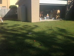 The beautiful Finished Lawn!