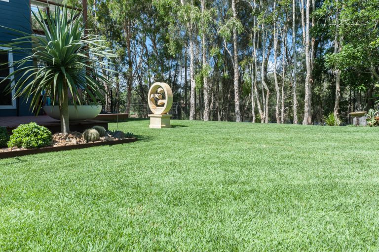 Stunning Dark green lawns that are easy to care for Coastal Turf