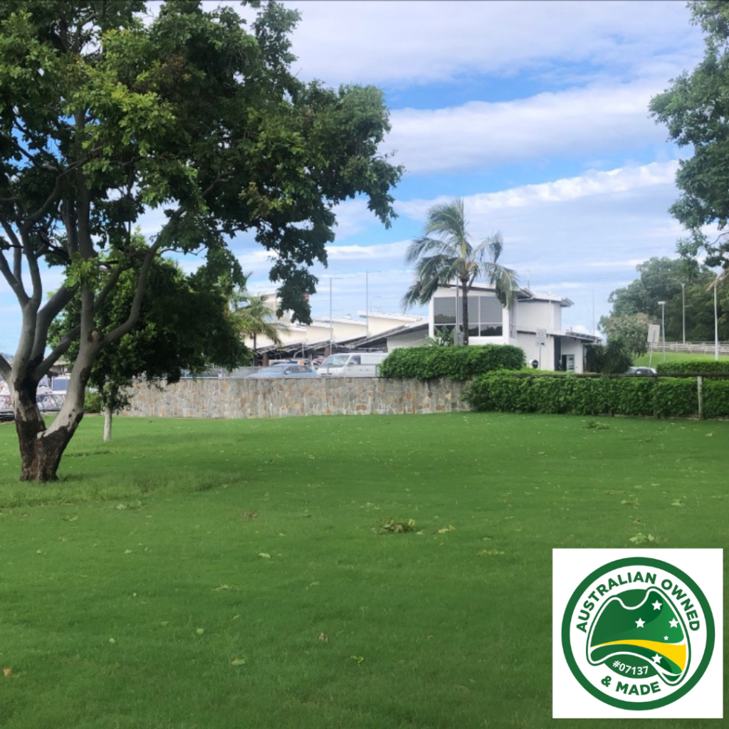 Wintergreen Couch Coastal Turf