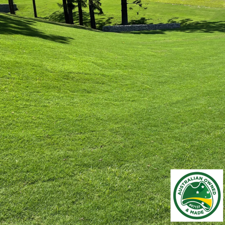 Wintergreen Couch Coastal Turf