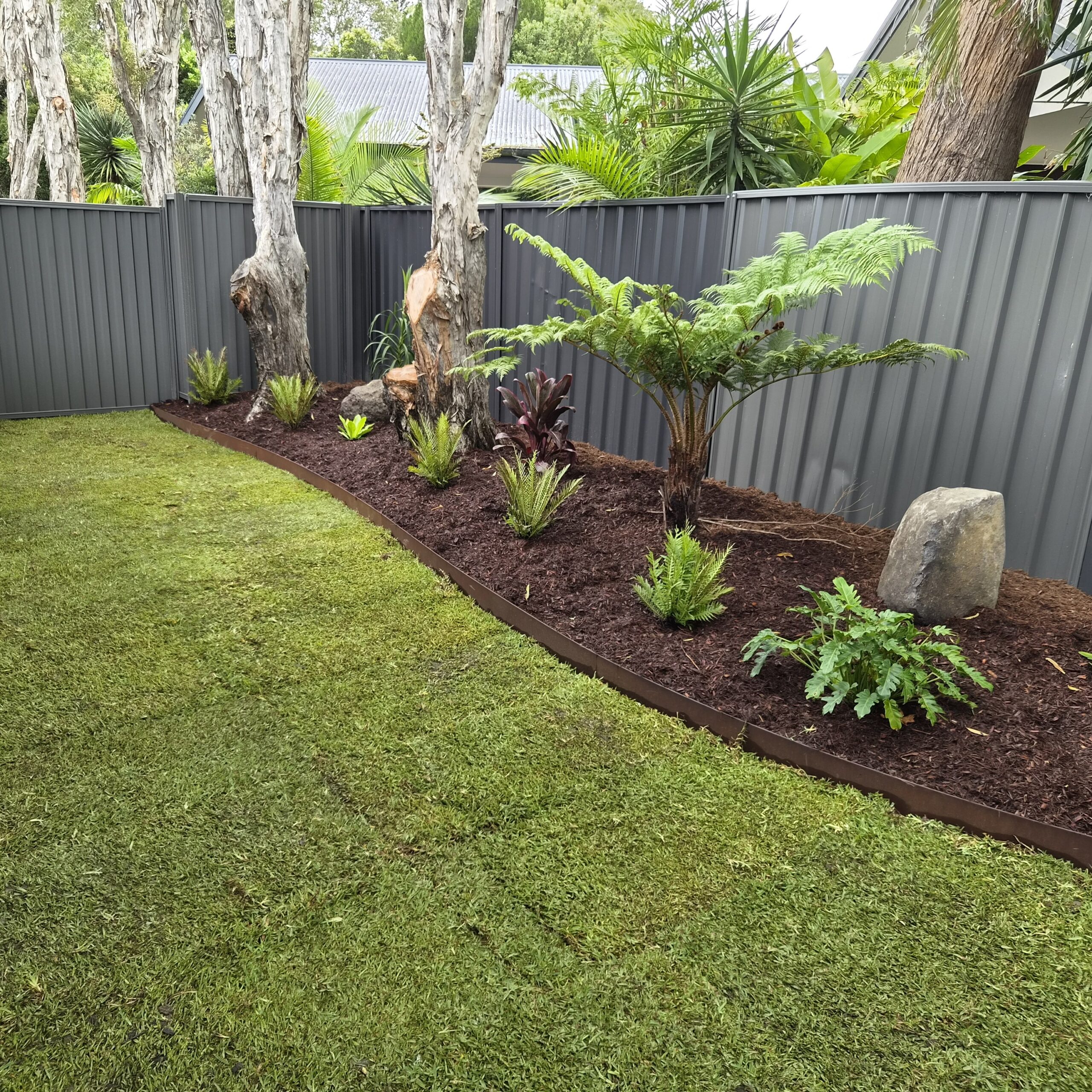 DNA Certified Sir Walter Buffalo - Image 16