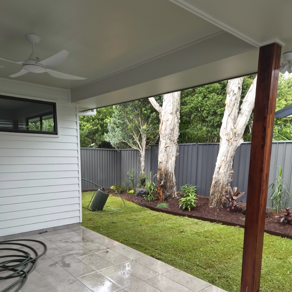 DNA Certified Sir Walter Buffalo - Image 17