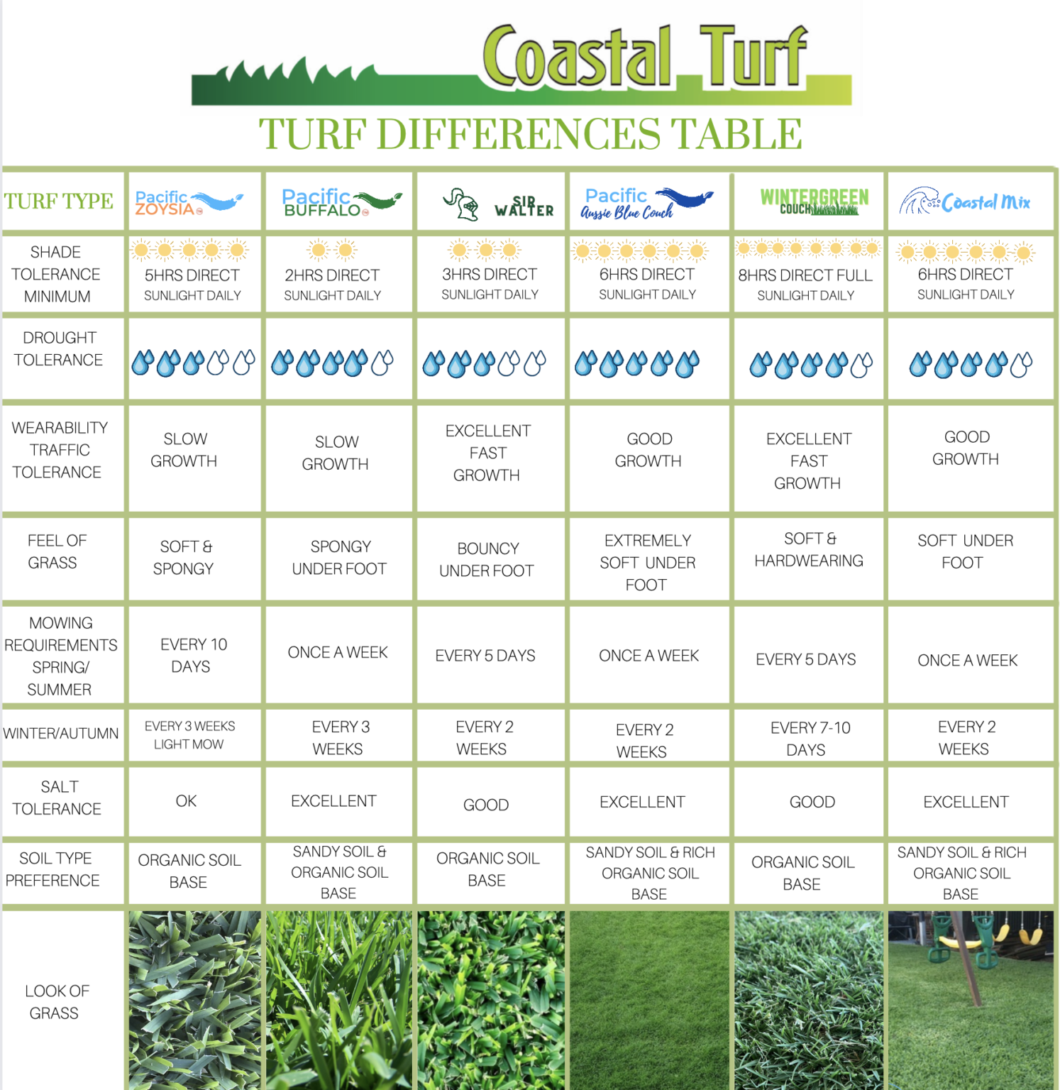 Coastal Turf grows beautiful turf grasses, let us help you get your