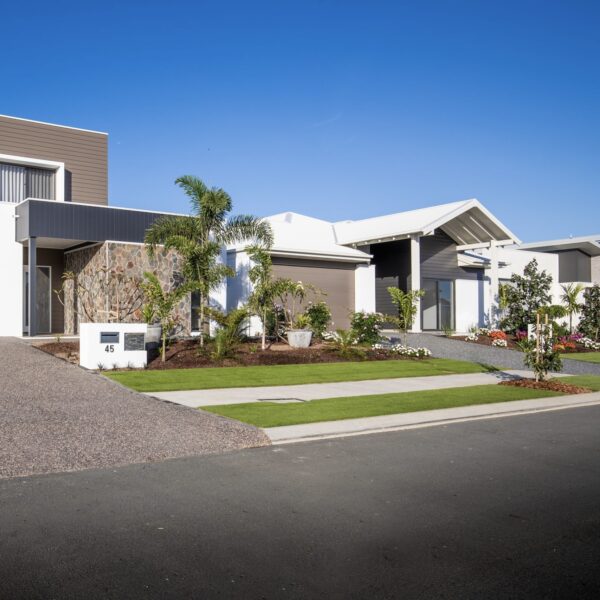 Sir Grange Zoysia - Image 2