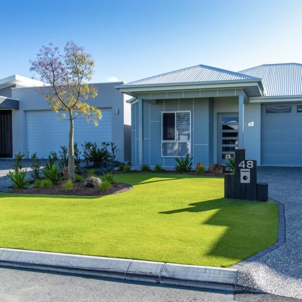 Sir Grange Zoysia - Image 6