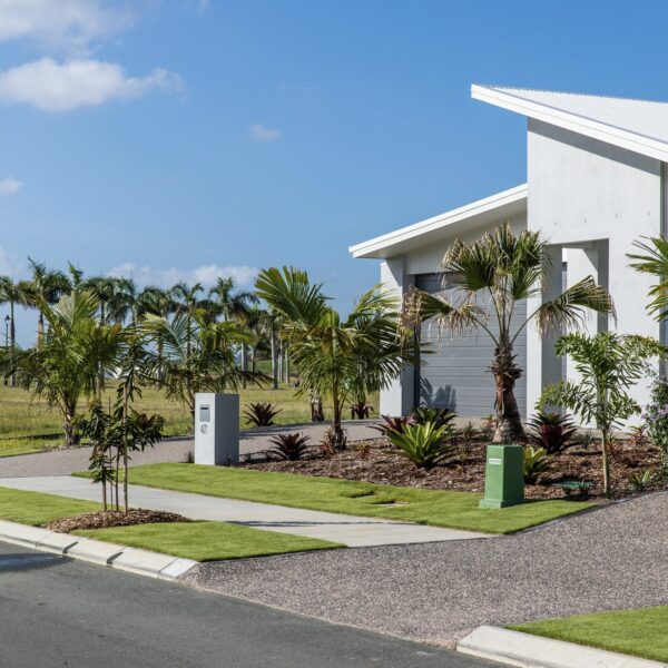 Sir Grange Zoysia - Image 7