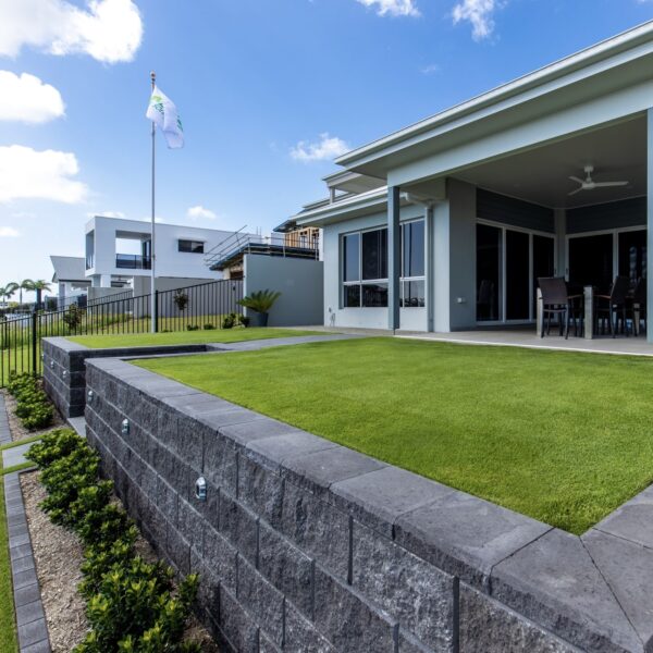 Sir Grange Zoysia - Image 8