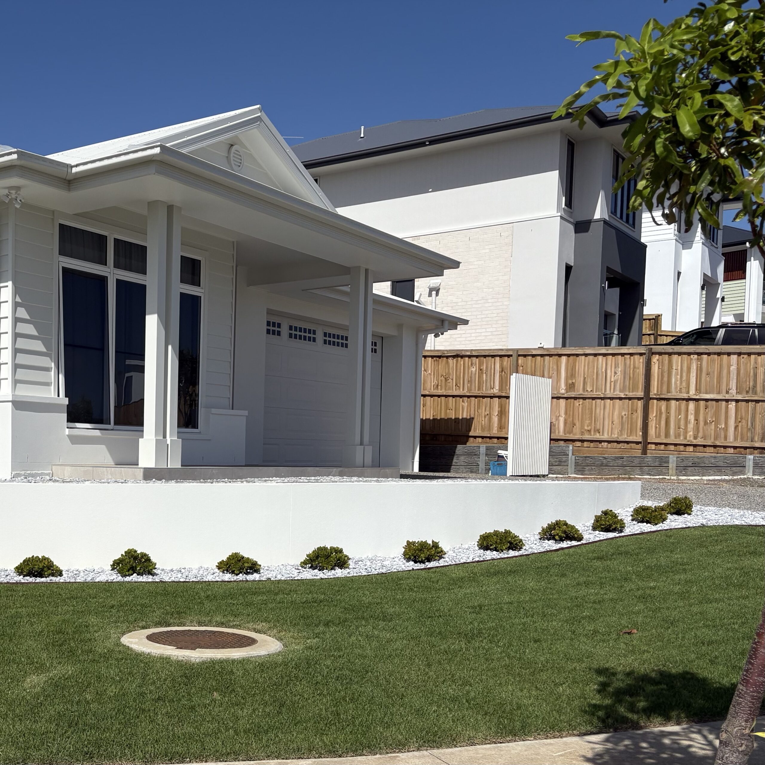 Zoysia Australis - Image 5