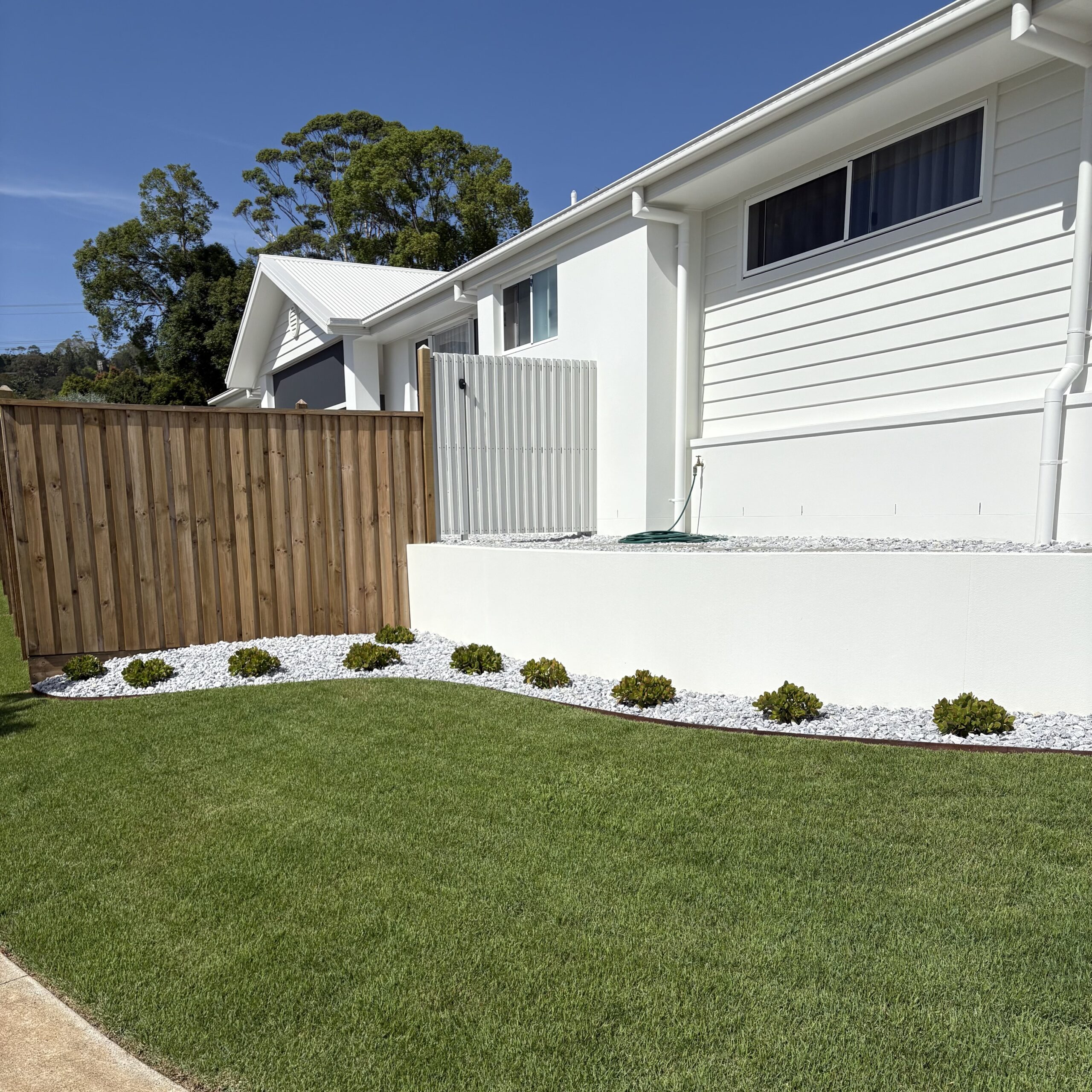 Zoysia Australis - Image 6