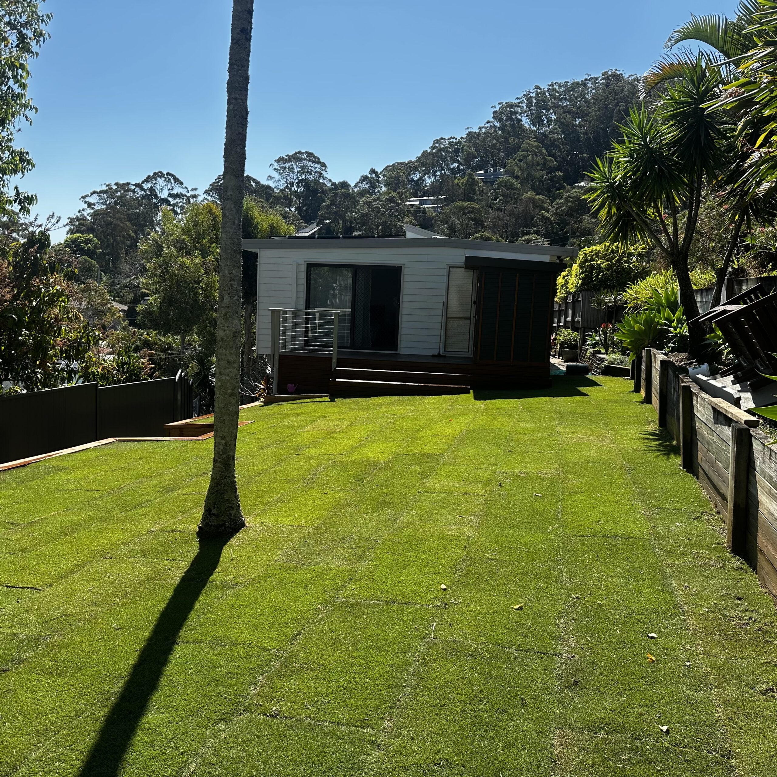 Sir Grange Zoysia - Image 12