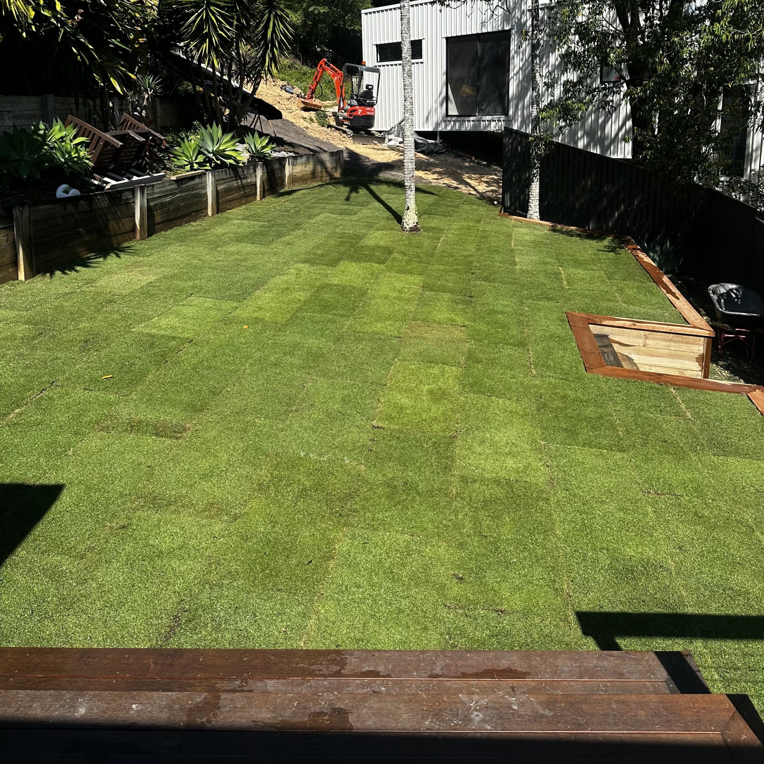 Sir Grange Zoysia - Image 13