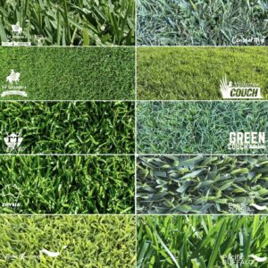 Turf