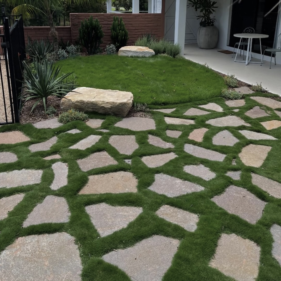 Sir Grange Zoysia - Image 14