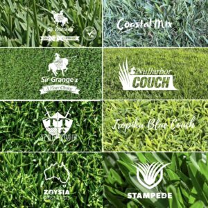 Turf